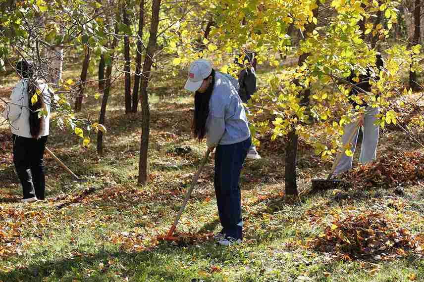 Студенты КАСУ приняли участие в республиканском субботнике в рамках акции «Таза Қазақстан» (3)