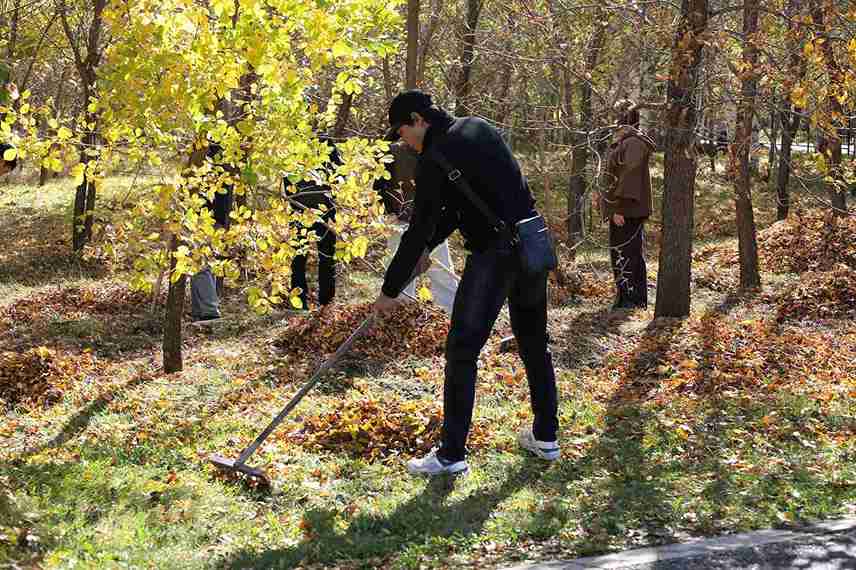 Студенты КАСУ приняли участие в республиканском субботнике в рамках акции «Таза Қазақстан» (4)