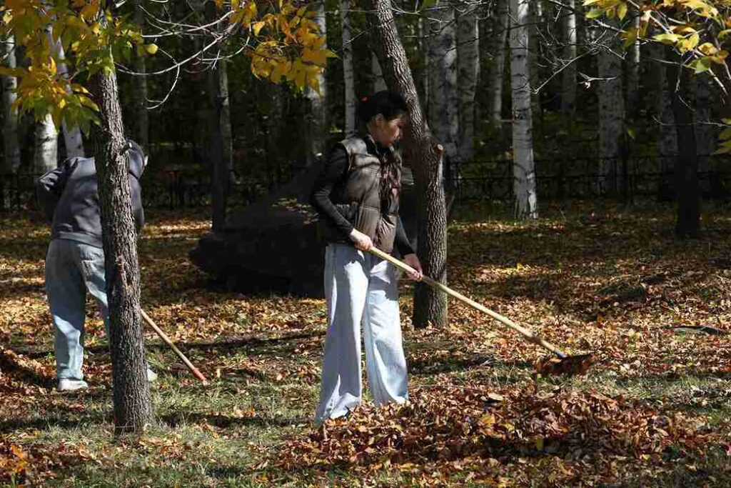 Студенты КАСУ приняли участие в республиканском субботнике в рамках акции «Таза Қазақстан» (9)