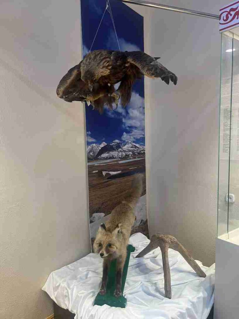 Путешествие в мир национального наследия14